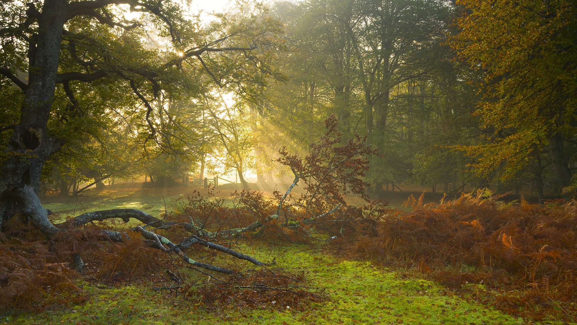 -马克西姆·格鲁塞赛场表现引发媒体关注，马克西姆比赛